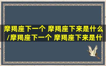 摩羯座下一个 摩羯座下来是什么/摩羯座下一个 摩羯座下来是什么-我的网站